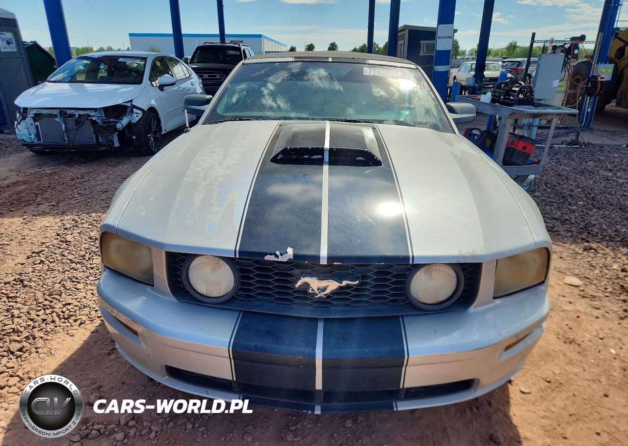 2005 Ford Mustang VIN:1ZVFT84NX55213728 - 5