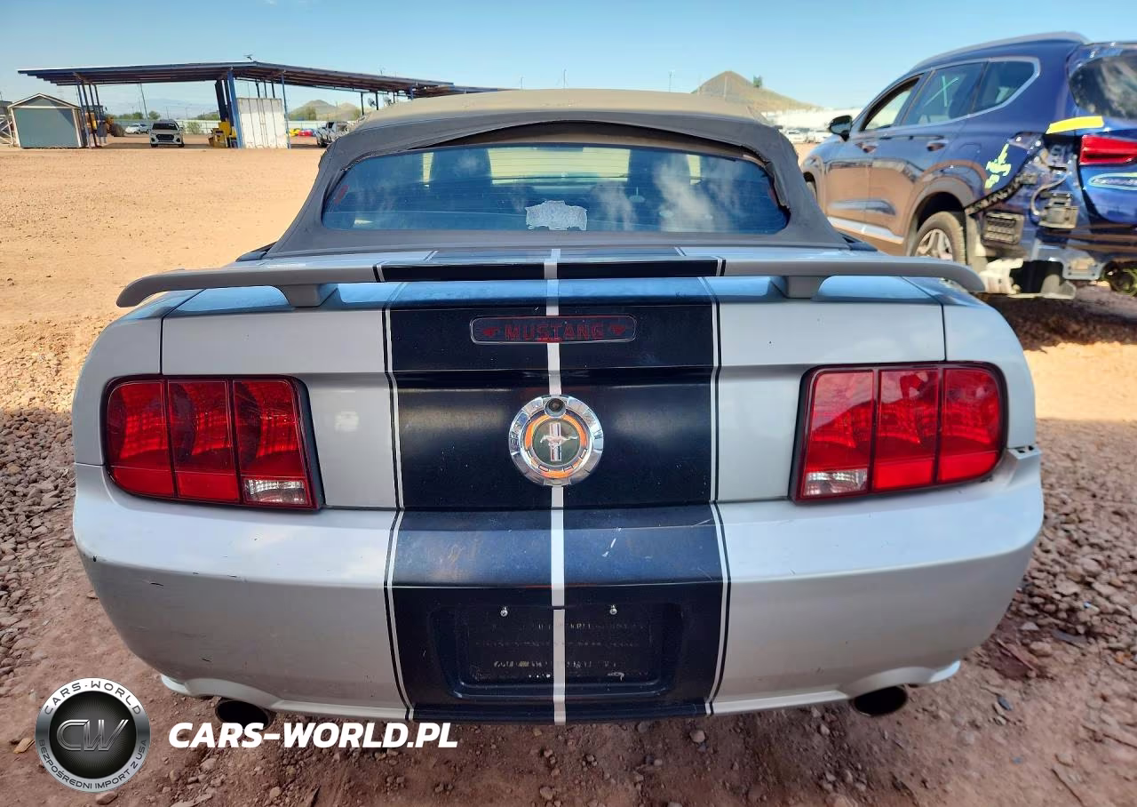 2005 Ford Mustang VIN:1ZVFT84NX55213728 - 6