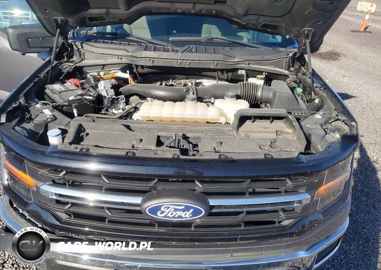 2024 Ford F150 Xlt VIN:1FTFW3LD6RFA72825 - 11