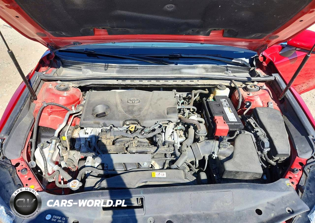 2019 Toyota Camry Se VIN:4T1B11HK7KU280878 - 11