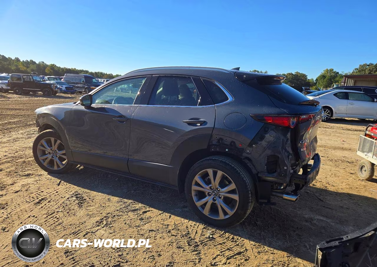 2020 Mazda Cx-30 Premium VIN:3MVDMBEM2LM136921 - 2
