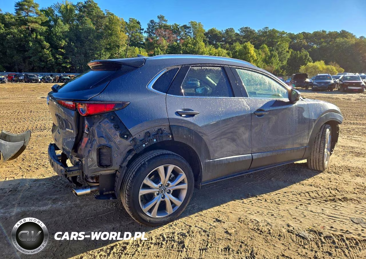 2020 Mazda Cx-30 Premium VIN:3MVDMBEM2LM136921 - 3