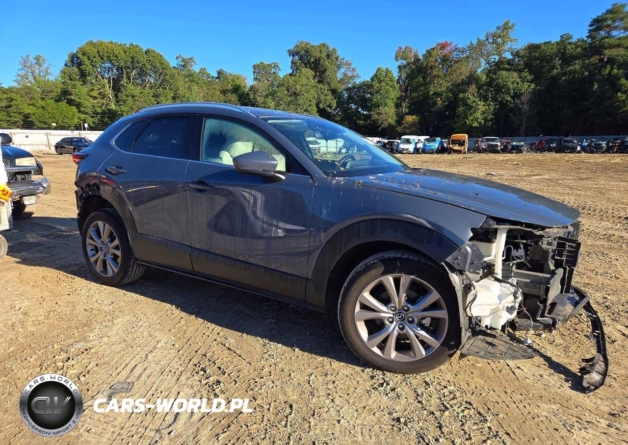 2020 Mazda Cx-30 Premium VIN:3MVDMBEM2LM136921 - 4