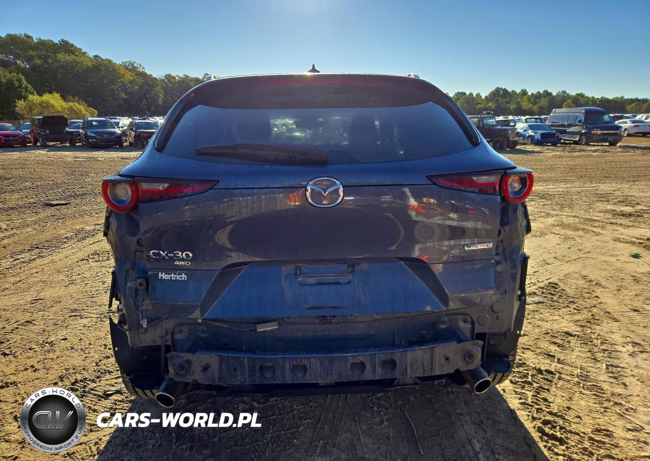 2020 Mazda Cx-30 Premium VIN:3MVDMBEM2LM136921 - 6