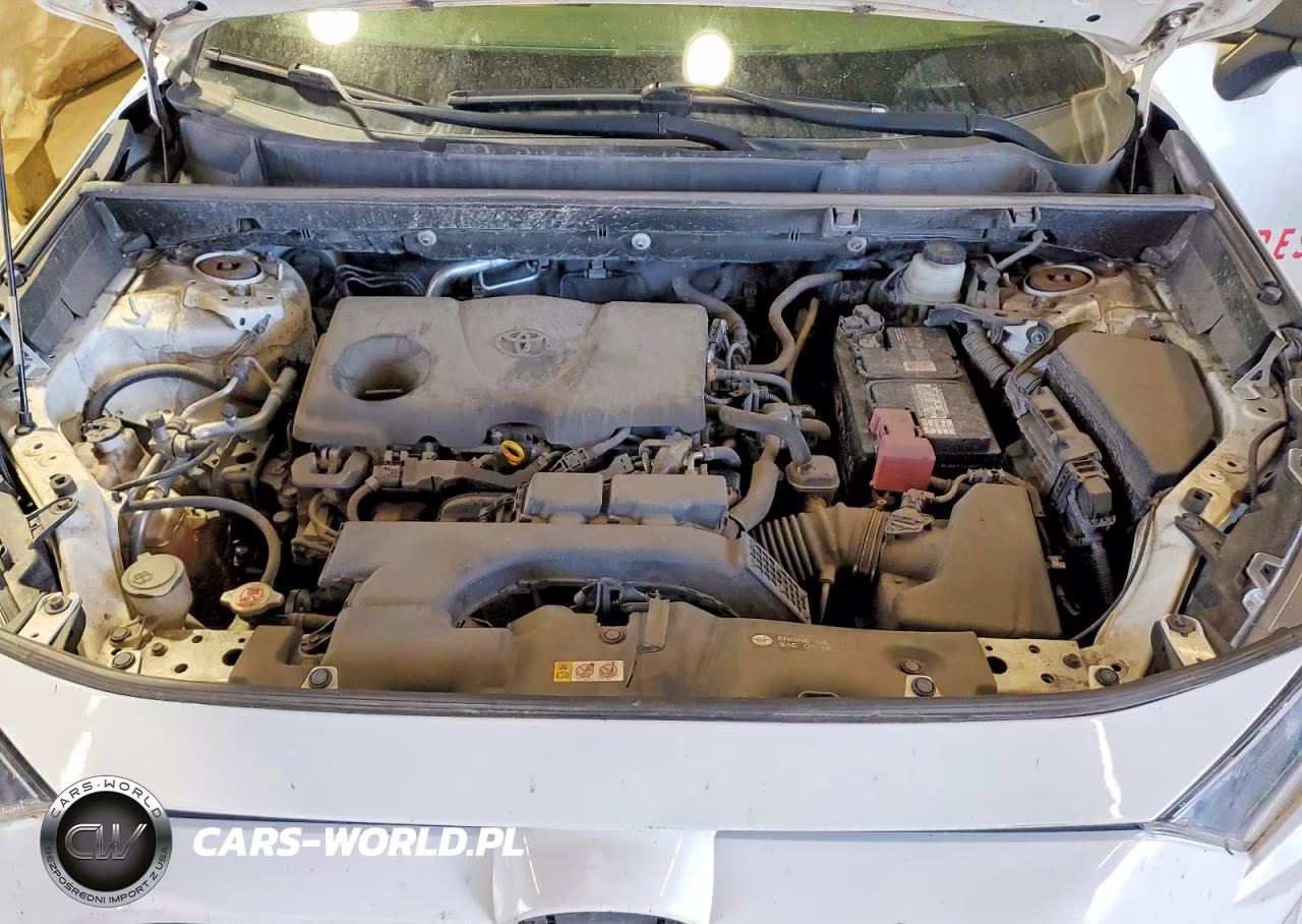 2019 Toyota Rav4 Le VIN:JTMF1RFV9KD046386 - 12