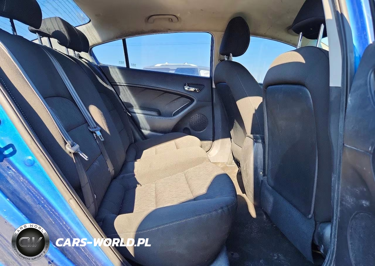 2014 Kia Forte Ex VIN:KNAFX4A88E5110092 - 10