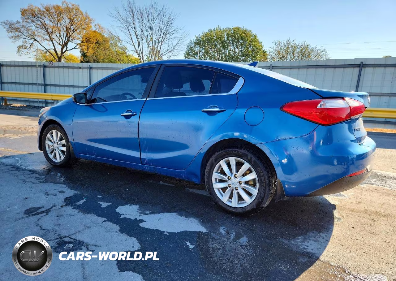 2014 Kia Forte Ex VIN:KNAFX4A88E5110092 - 2