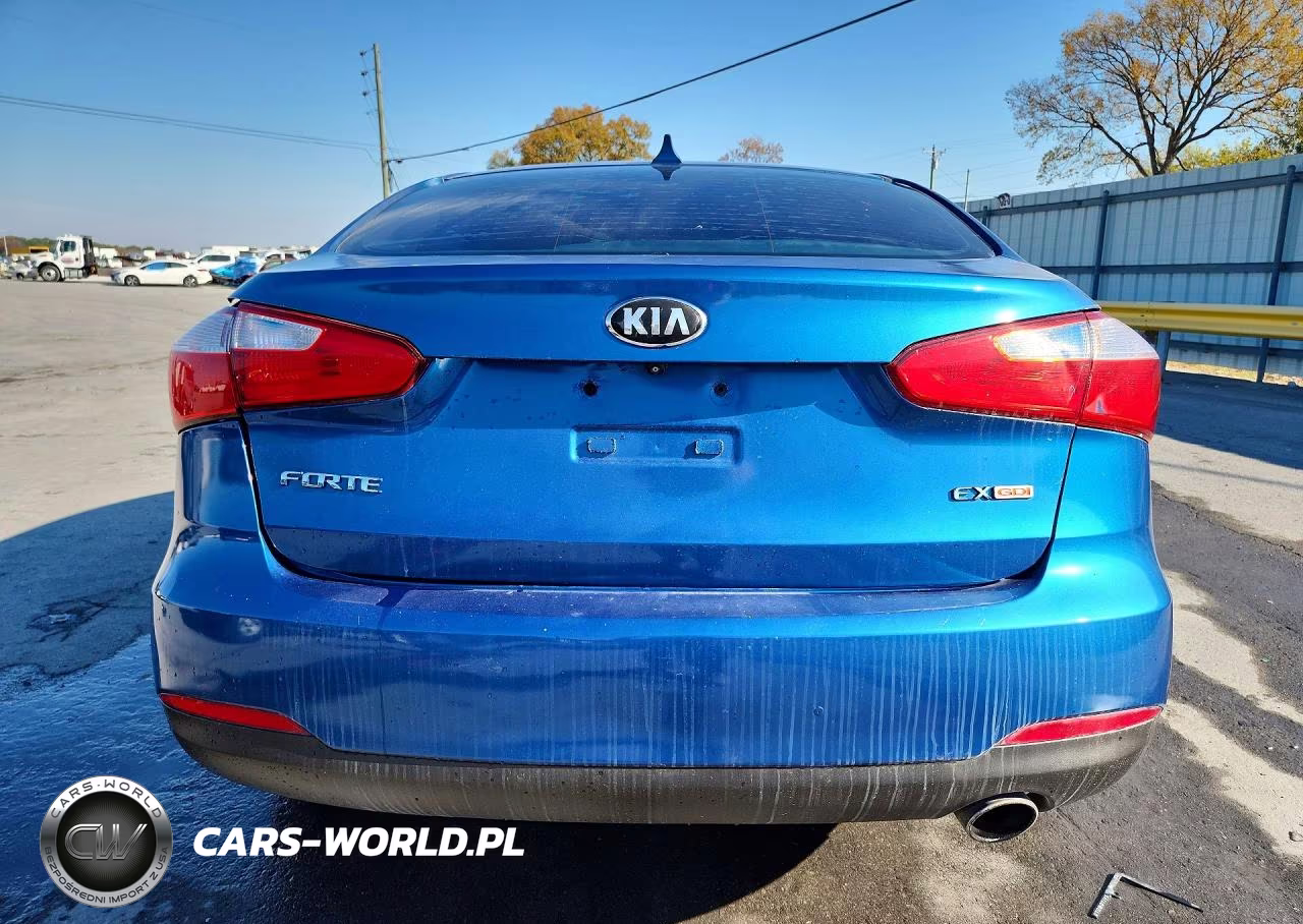 2014 Kia Forte Ex VIN:KNAFX4A88E5110092 - 6
