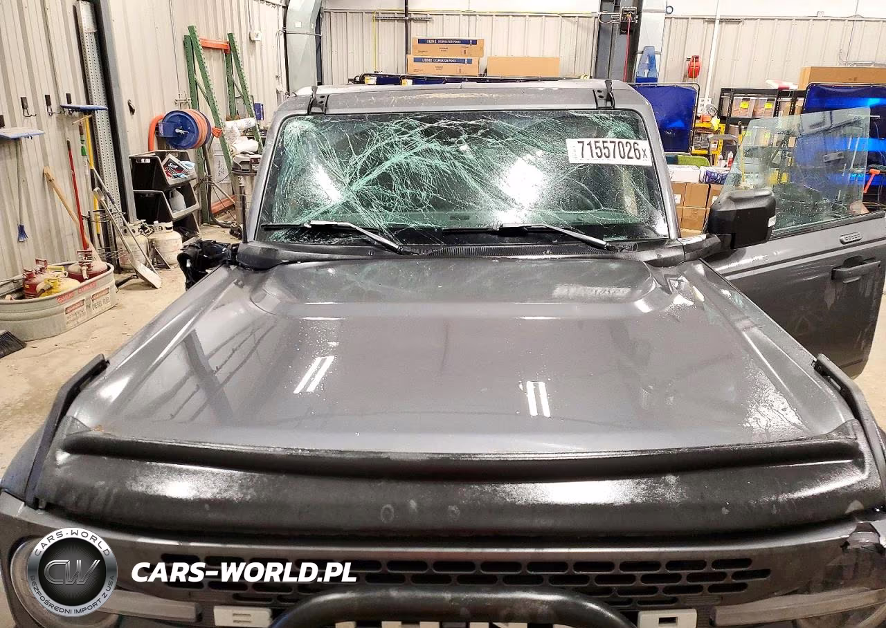 2023 Ford Bronco Base VIN:1FMEE5DH9PLB83830 - 12