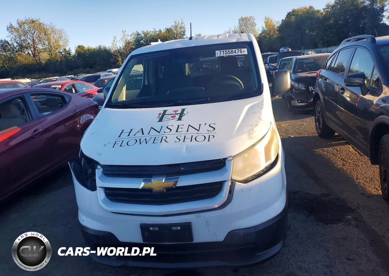 2015 Chevrolet City Express Ls Van VIN:3N63M0YN4FK697222 - 5