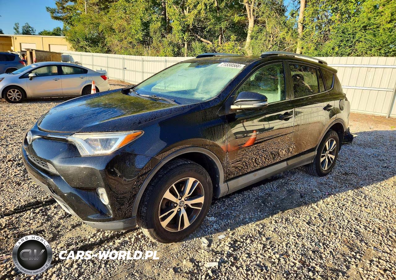2016 Toyota Rav4 Xle VIN:2T3WFREV7GW250083 - 1