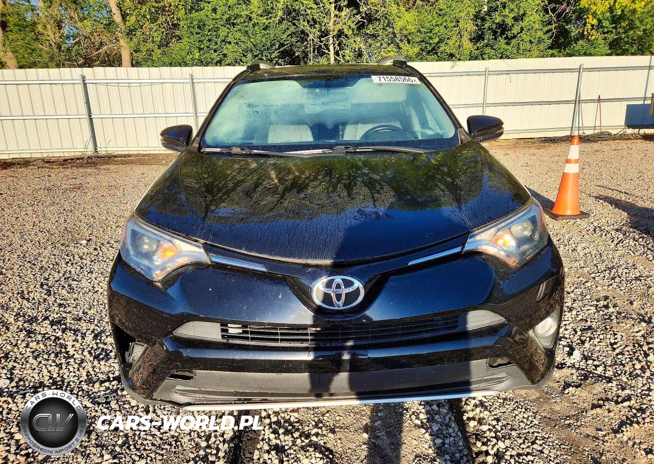 2016 Toyota Rav4 Xle VIN:2T3WFREV7GW250083 - 5