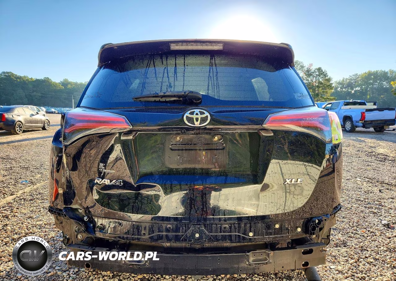 2016 Toyota Rav4 Xle VIN:2T3WFREV7GW250083 - 6