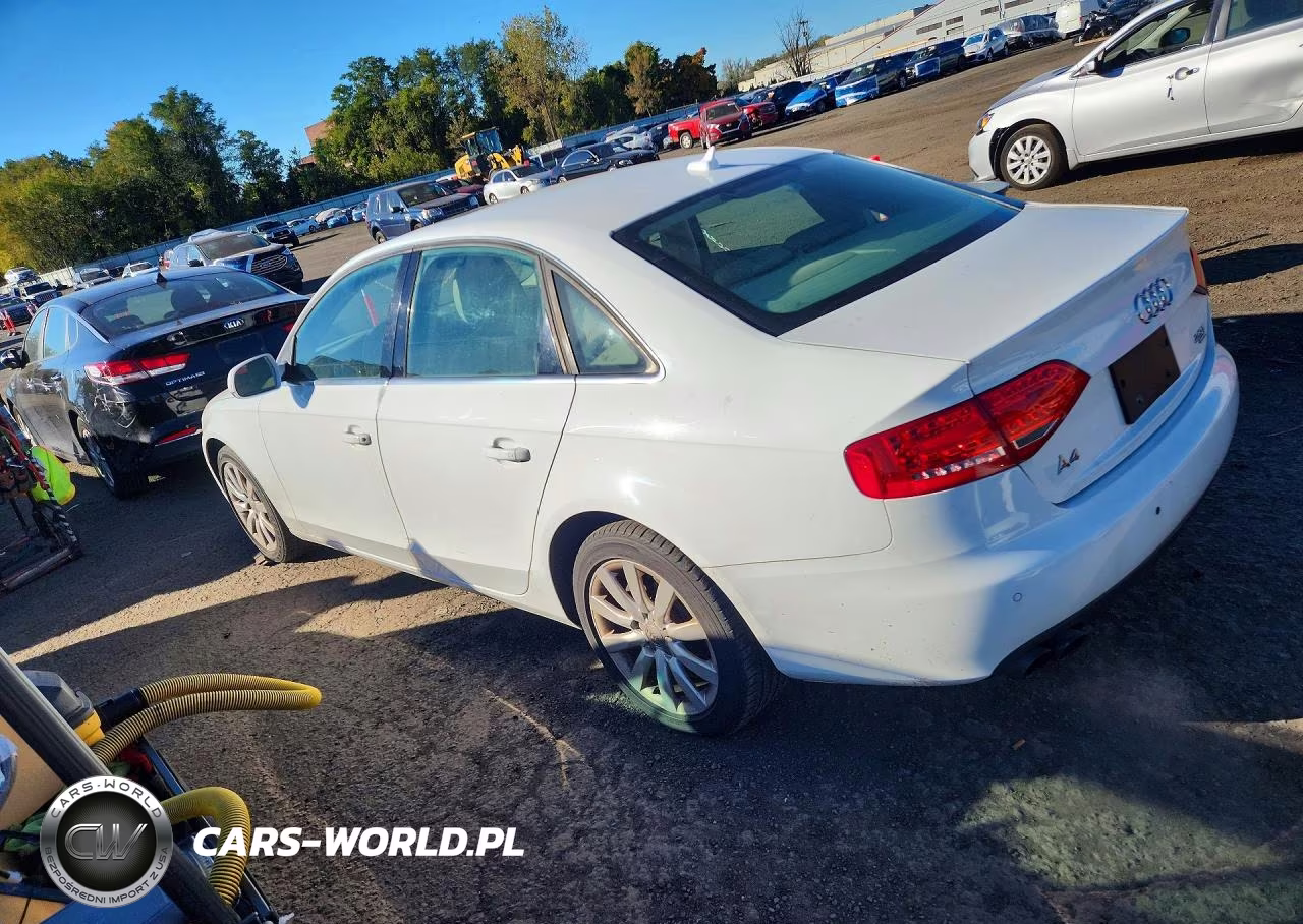 2010 Audi A4 Premium Plus VIN:WAUFFAFL3AN066978 - 2