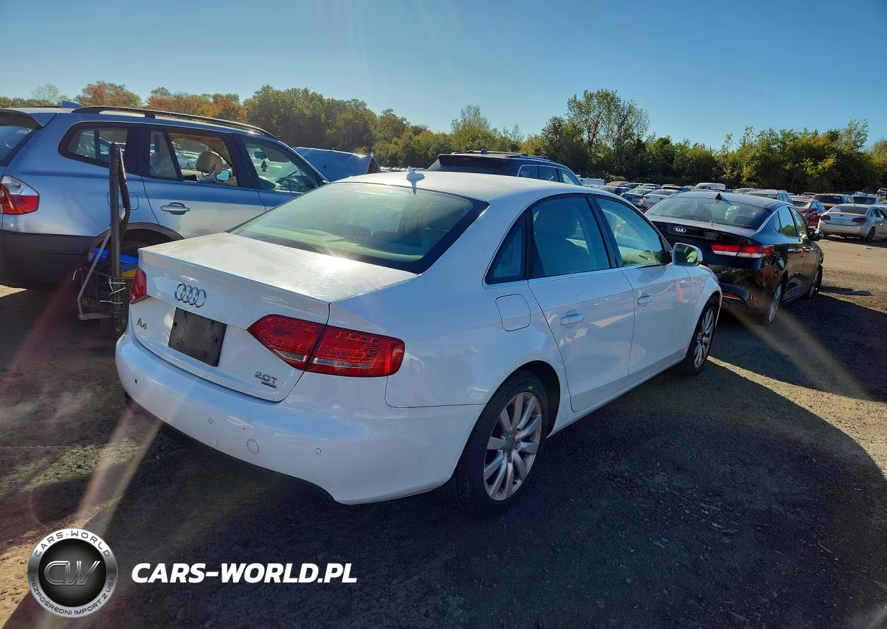 2010 Audi A4 Premium Plus VIN:WAUFFAFL3AN066978 - 3