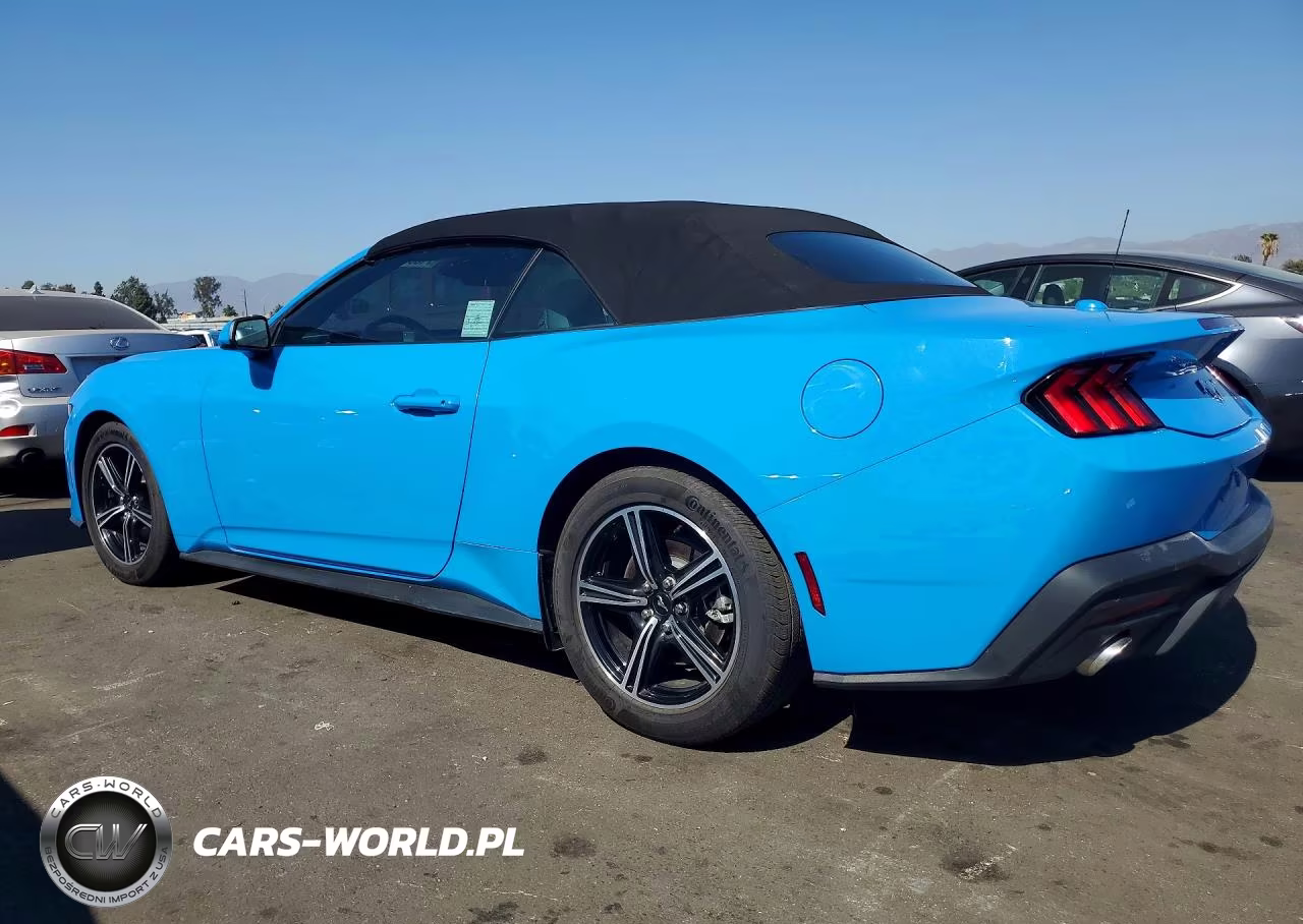 2024 Ford Mustang VIN:1FAGP8UH7R5145941 - 2
