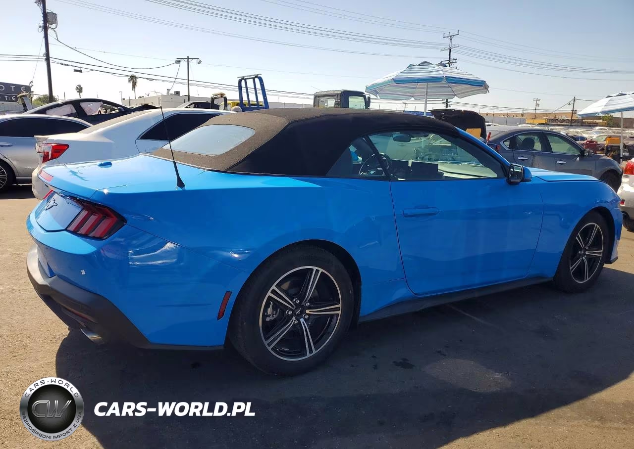 2024 Ford Mustang VIN:1FAGP8UH7R5145941 - 3