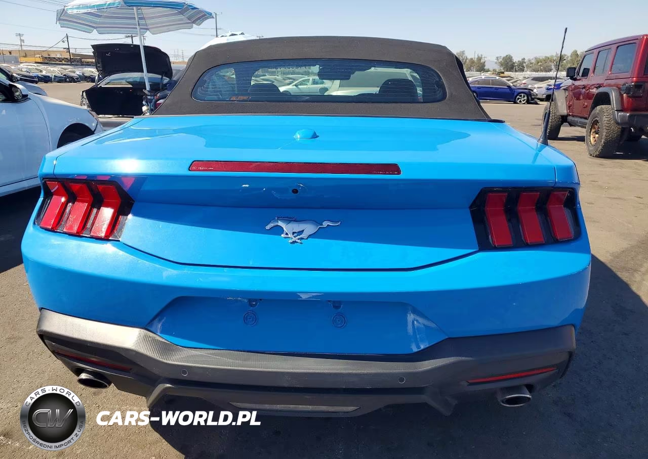 2024 Ford Mustang VIN:1FAGP8UH7R5145941 - 6