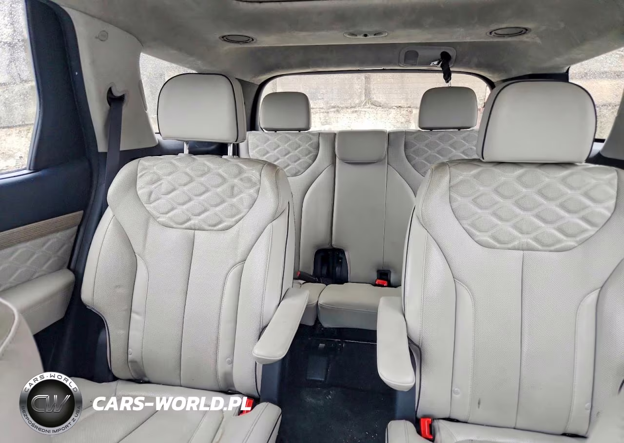 2022 Hyundai Palisade Calligraphy VIN:KM8R7DHE0NU439981 - 10