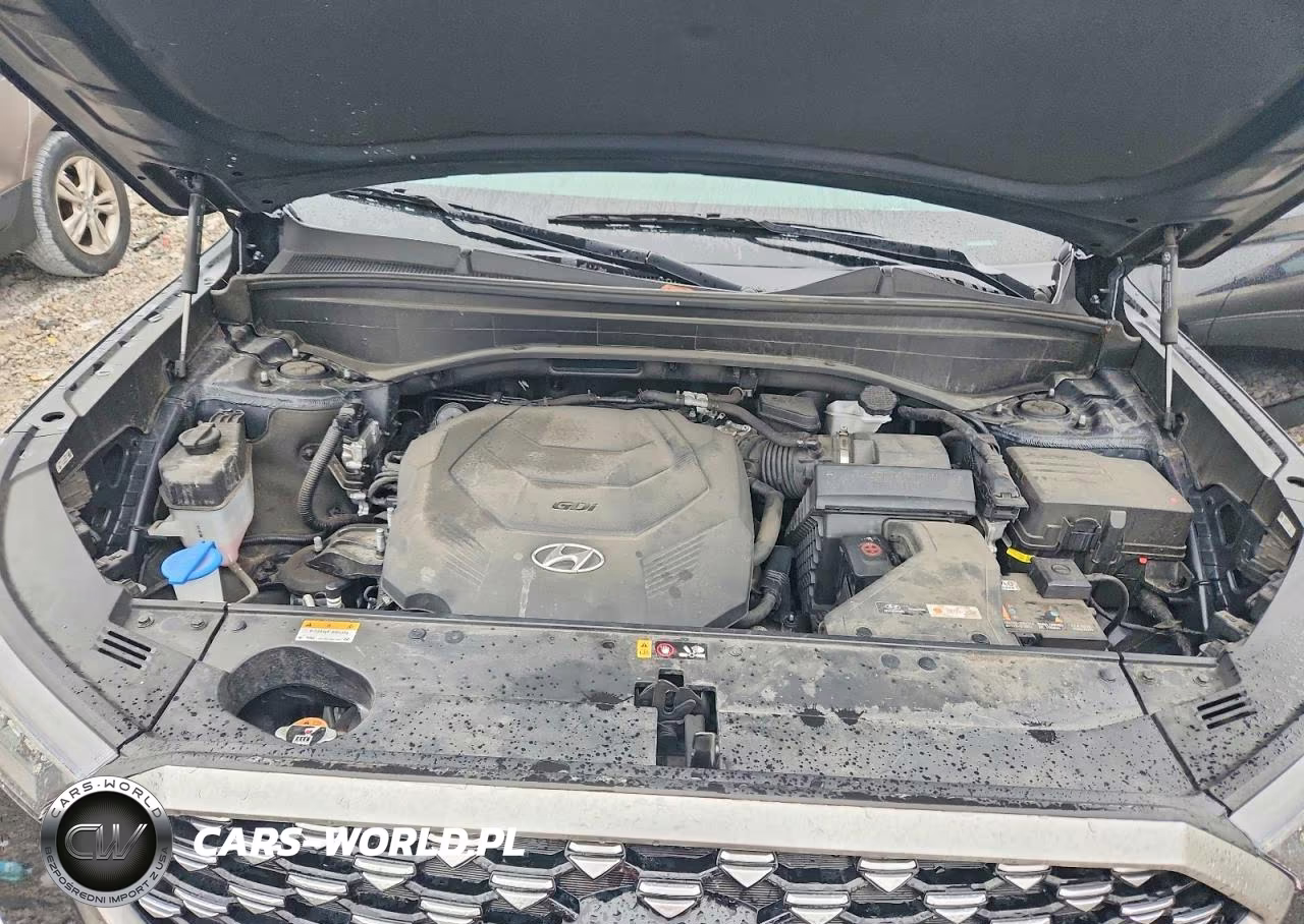 2022 Hyundai Palisade Calligraphy VIN:KM8R7DHE0NU439981 - 12