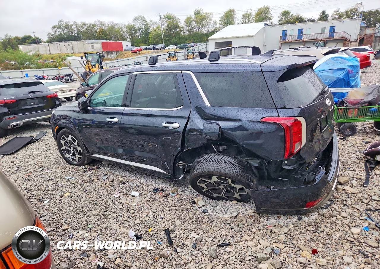 2022 Hyundai Palisade Calligraphy VIN:KM8R7DHE0NU439981 - 2