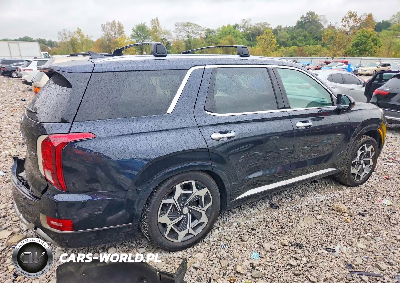 2022 Hyundai Palisade Calligraphy VIN:KM8R7DHE0NU439981 - 3