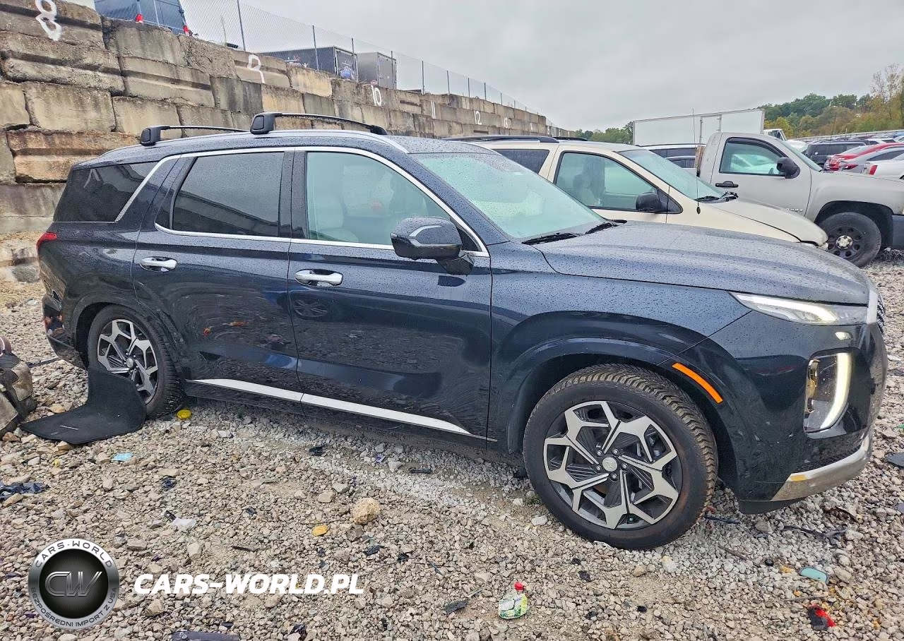 2022 Hyundai Palisade Calligraphy VIN:KM8R7DHE0NU439981 - 4