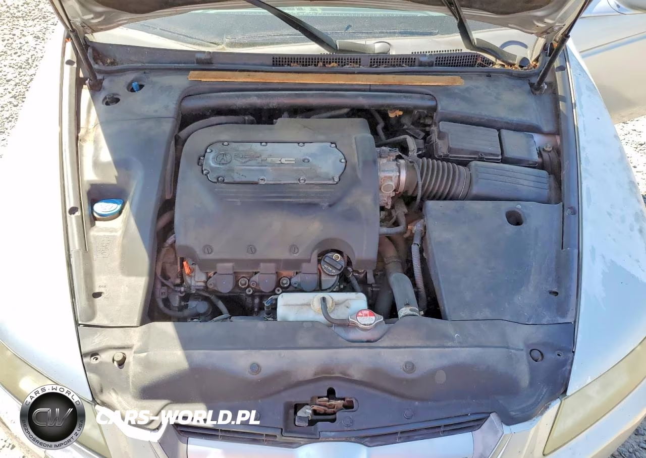 2006 Acura 3.2Tl VIN:19UUA66206A061380 - 11