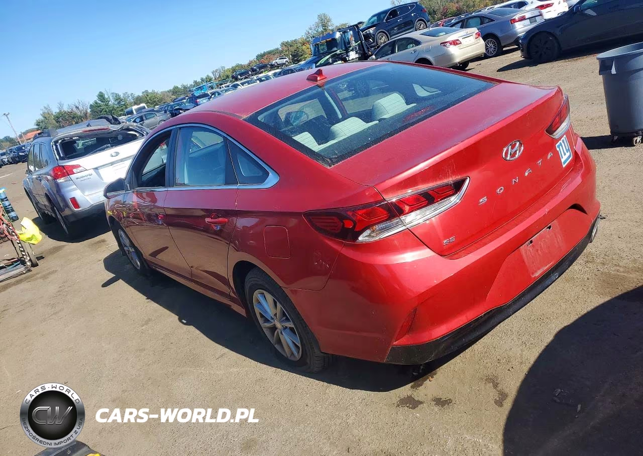 2019 Hyundai Sonata Se VIN:5NPE24AF9KH804975 - 2