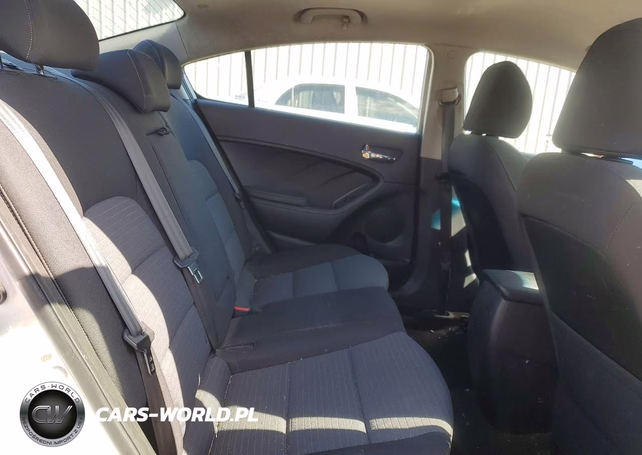 2016 Kia Forte Lx VIN:KNAFX4A68G5500787 - 10