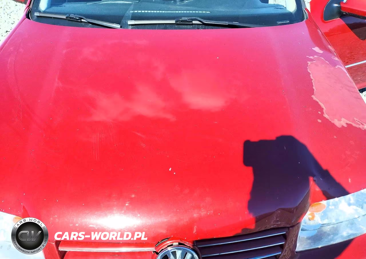 2004 Volkswagen Jetta Gl Tdi VIN:3VWRR69M24M080925 - 11
