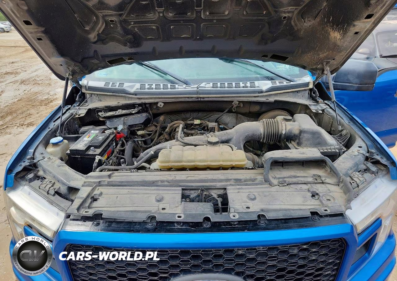 2019 Ford F150 Supercrew VIN:1FTEW1CP7KKD24508 - 11