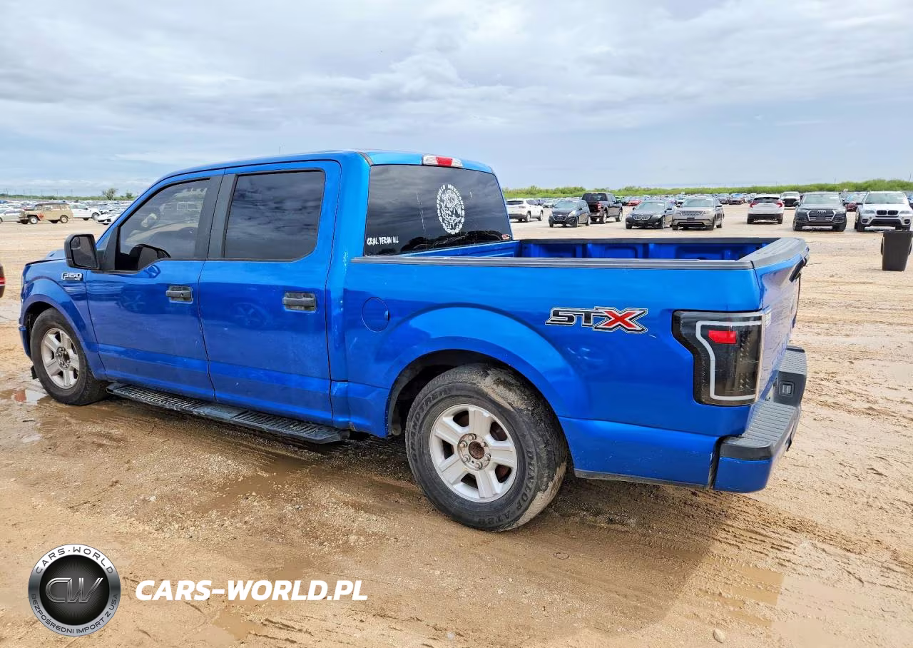 2019 Ford F150 Supercrew VIN:1FTEW1CP7KKD24508 - 2