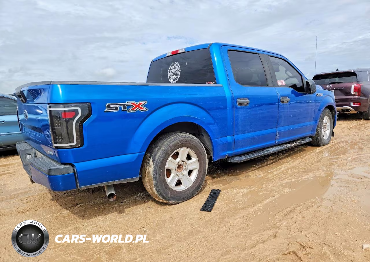 2019 Ford F150 Supercrew VIN:1FTEW1CP7KKD24508 - 3