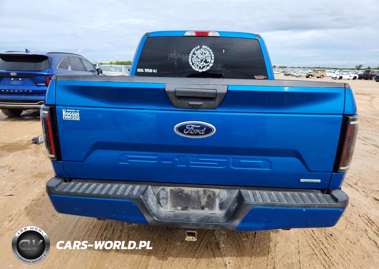 2019 Ford F150 Supercrew VIN:1FTEW1CP7KKD24508 - 6