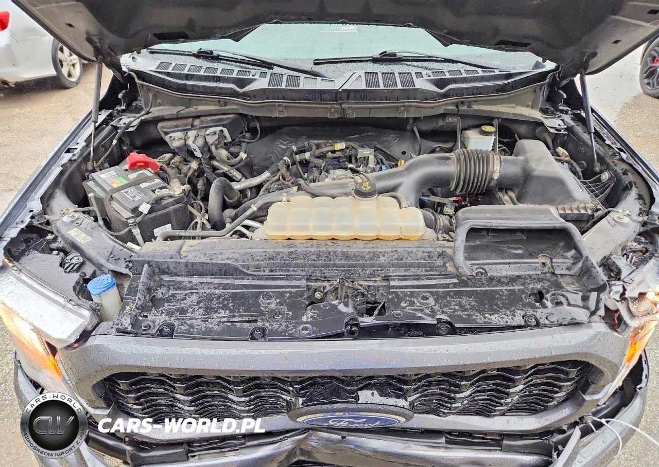 2021 Ford F150 Supercrew VIN:1FTEW1CP1MFB26955 - 11