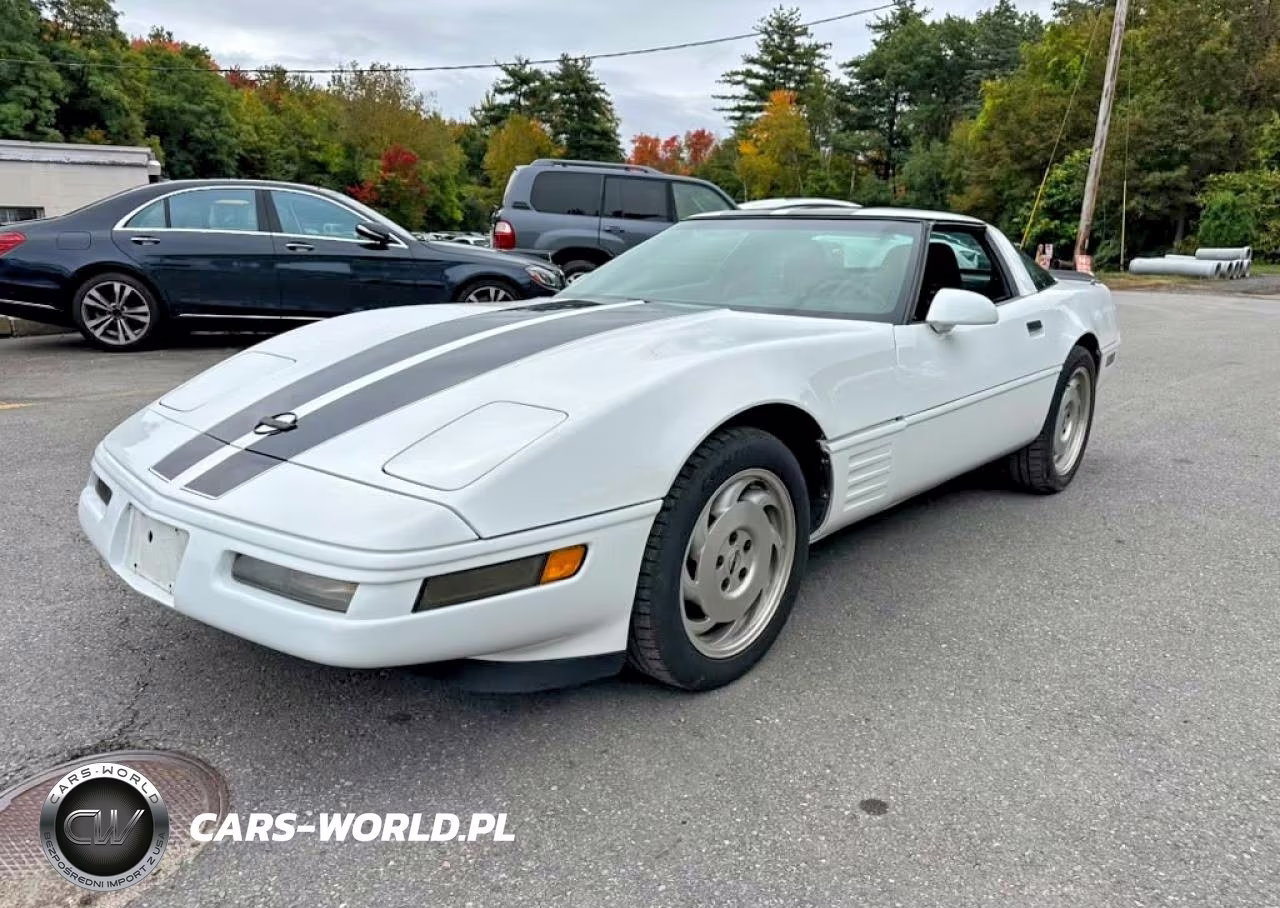 1994 Chevrolet Corvette VIN:1G1YY22P0R5108807 - 1