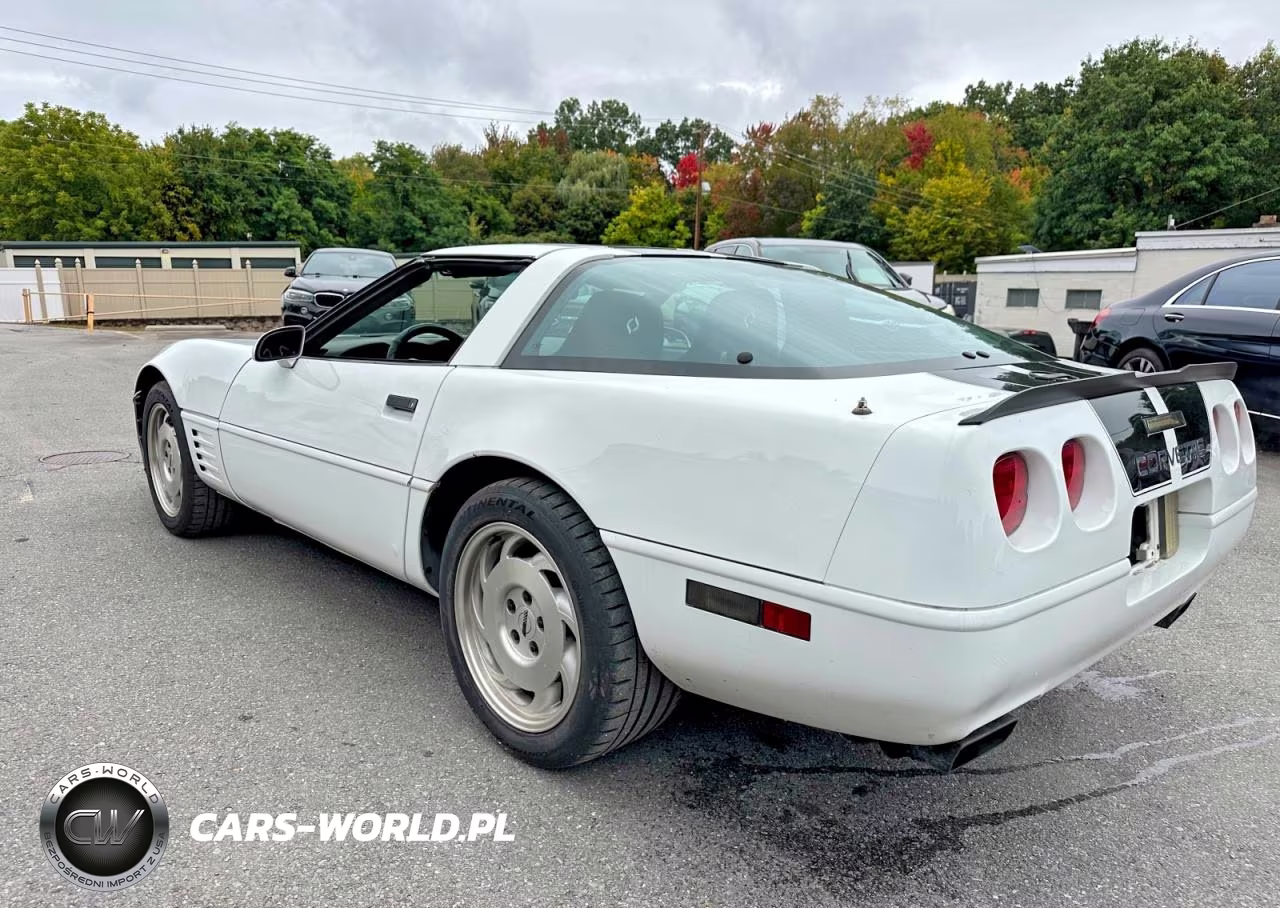 1994 Chevrolet Corvette VIN:1G1YY22P0R5108807 - 2