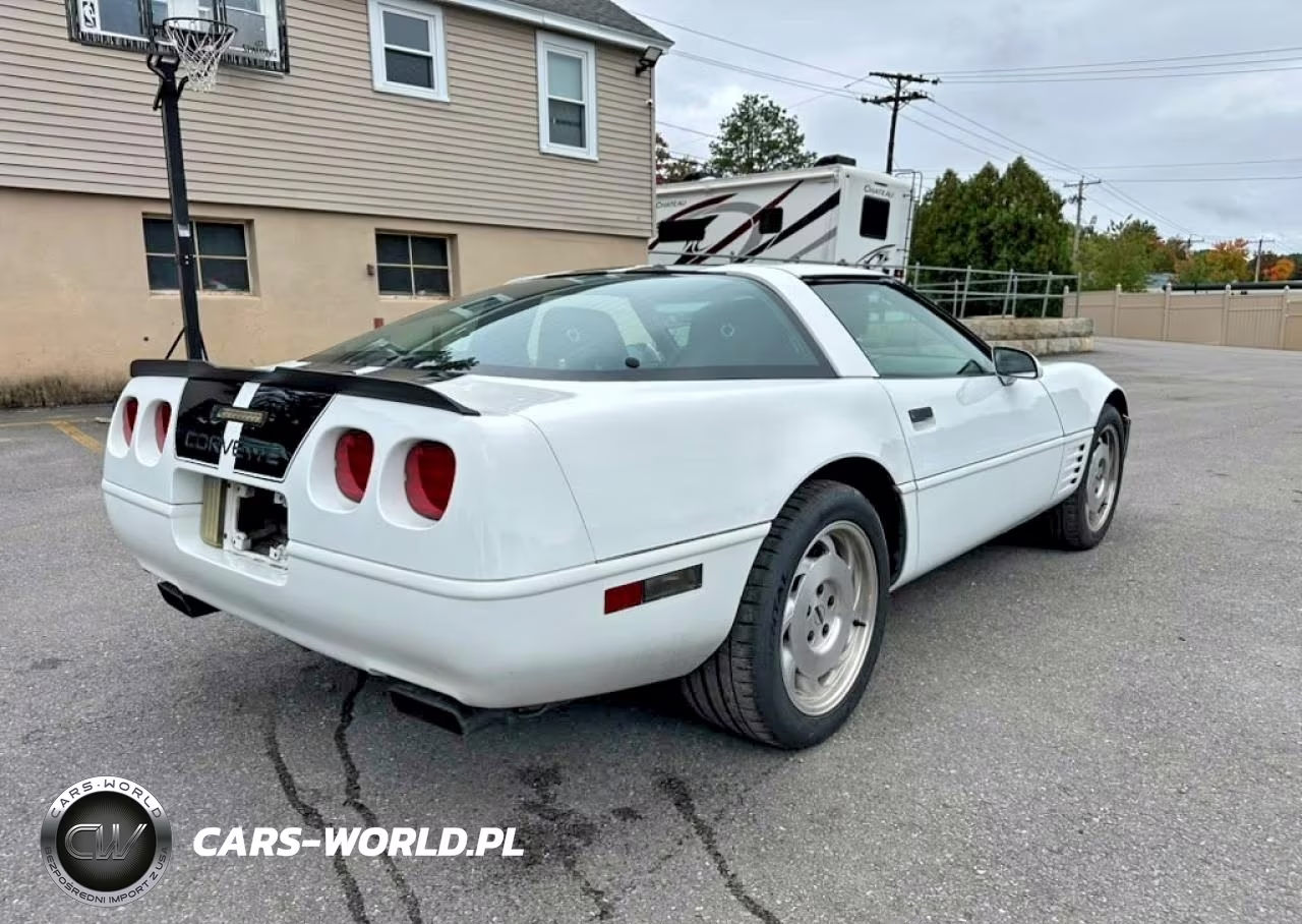 1994 Chevrolet Corvette VIN:1G1YY22P0R5108807 - 3