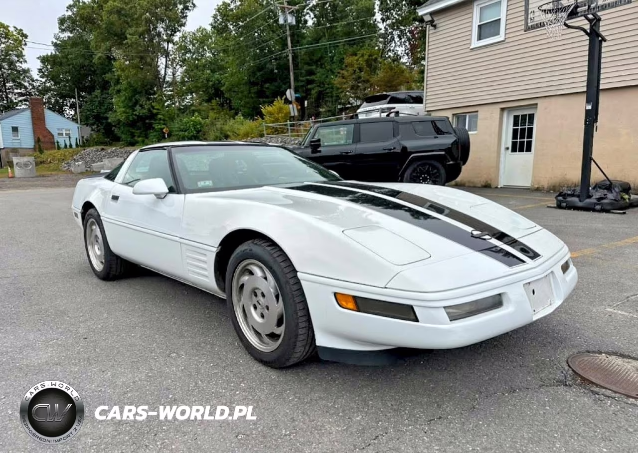 1994 Chevrolet Corvette VIN:1G1YY22P0R5108807 - 4