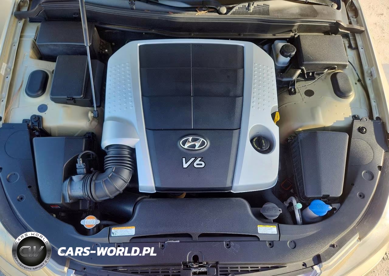 2010 Hyundai Genesis 3.8L VIN:KMHGC4DE7AU075769 - 11