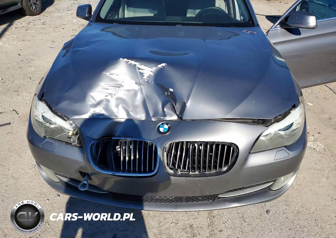 2013 BMW 535 I VIN:WBAFR7C54DC821006 - 11