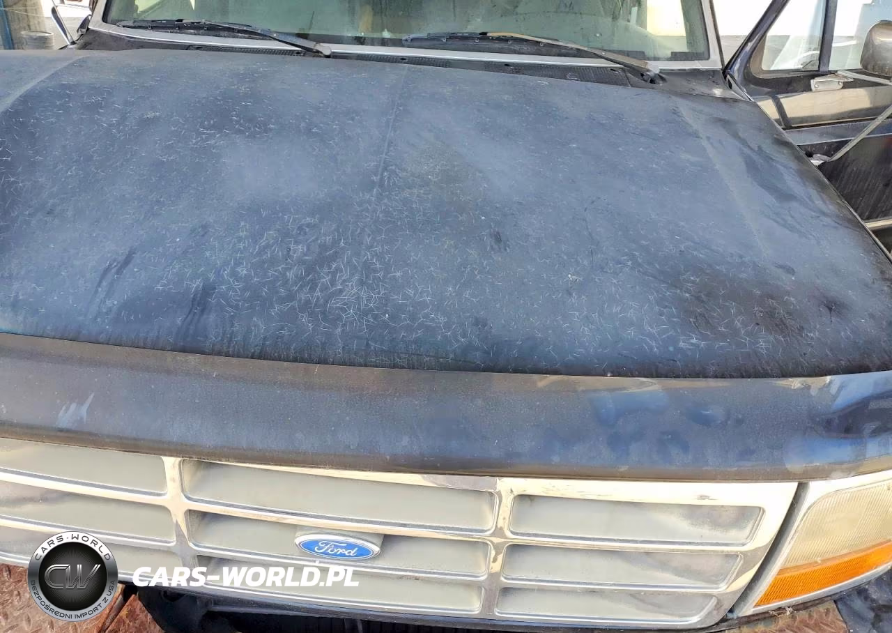 1997 Ford F-150 VIN:1FTHX26F3VEB56825 - 11