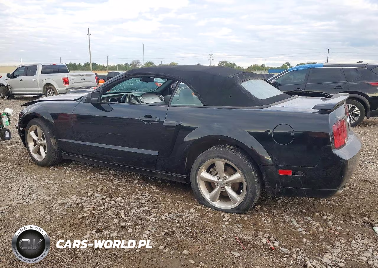 2009 Ford Mustang Gt VIN:1ZVHT85H795146237 - 2