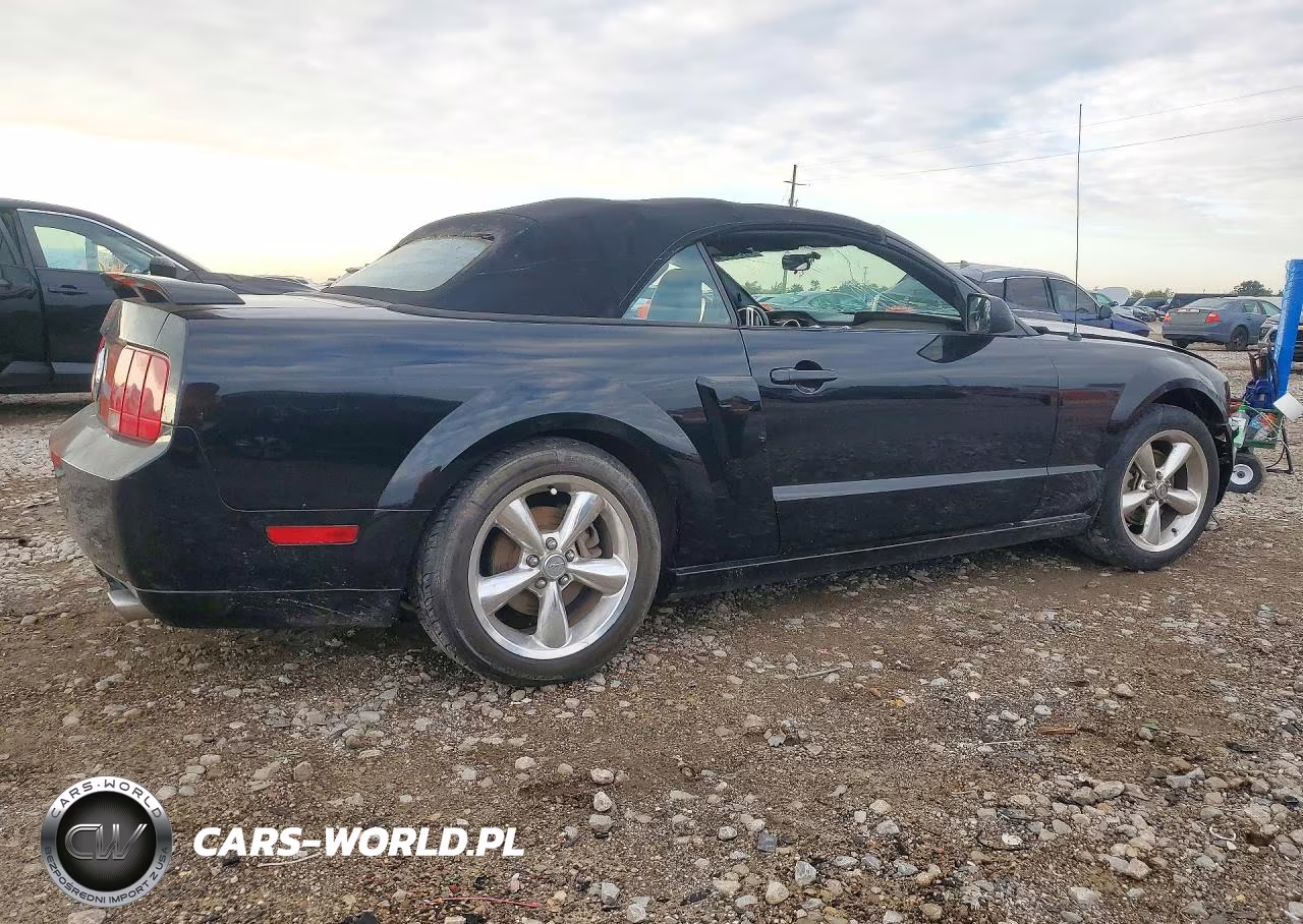 2009 Ford Mustang Gt VIN:1ZVHT85H795146237 - 3