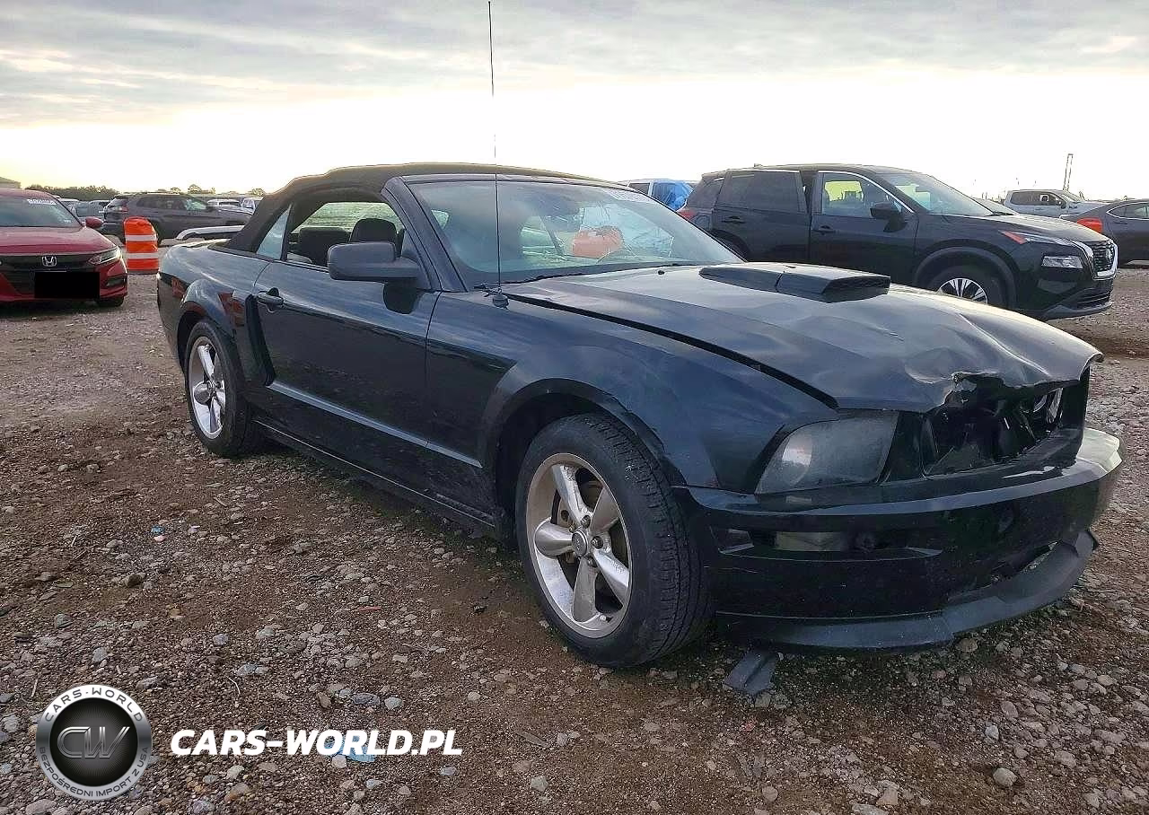 2009 Ford Mustang Gt VIN:1ZVHT85H795146237 - 4