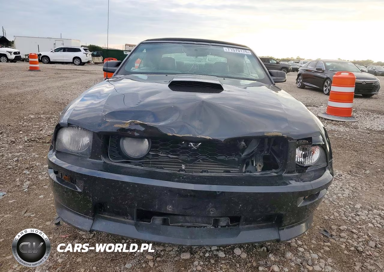 2009 Ford Mustang Gt VIN:1ZVHT85H795146237 - 5