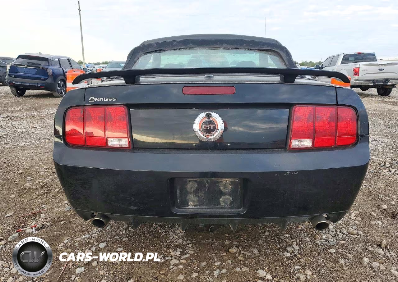 2009 Ford Mustang Gt VIN:1ZVHT85H795146237 - 6