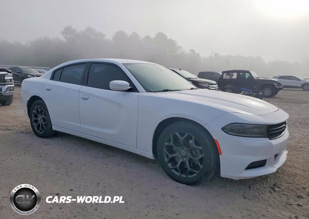 2017 Dodge Charger Police VIN:2C3CDXKT7HH533797 - 4