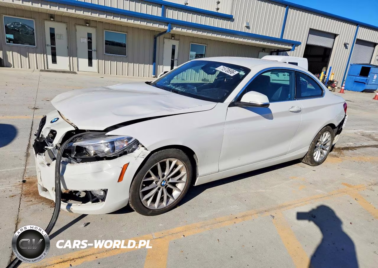 2016 BMW 228 Xi Sulev VIN:WBA1G9C54GV726756 - 1